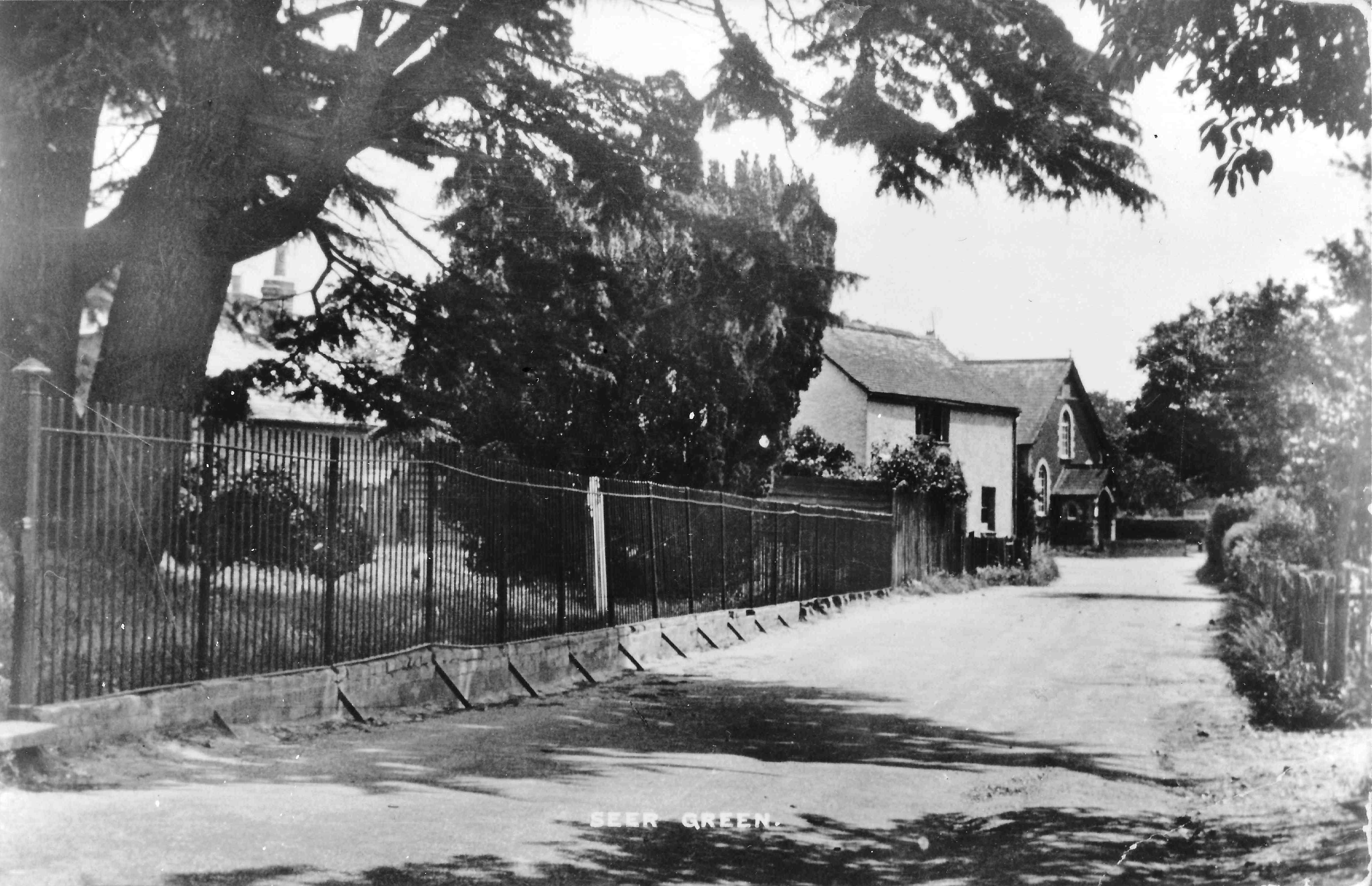 Seer green