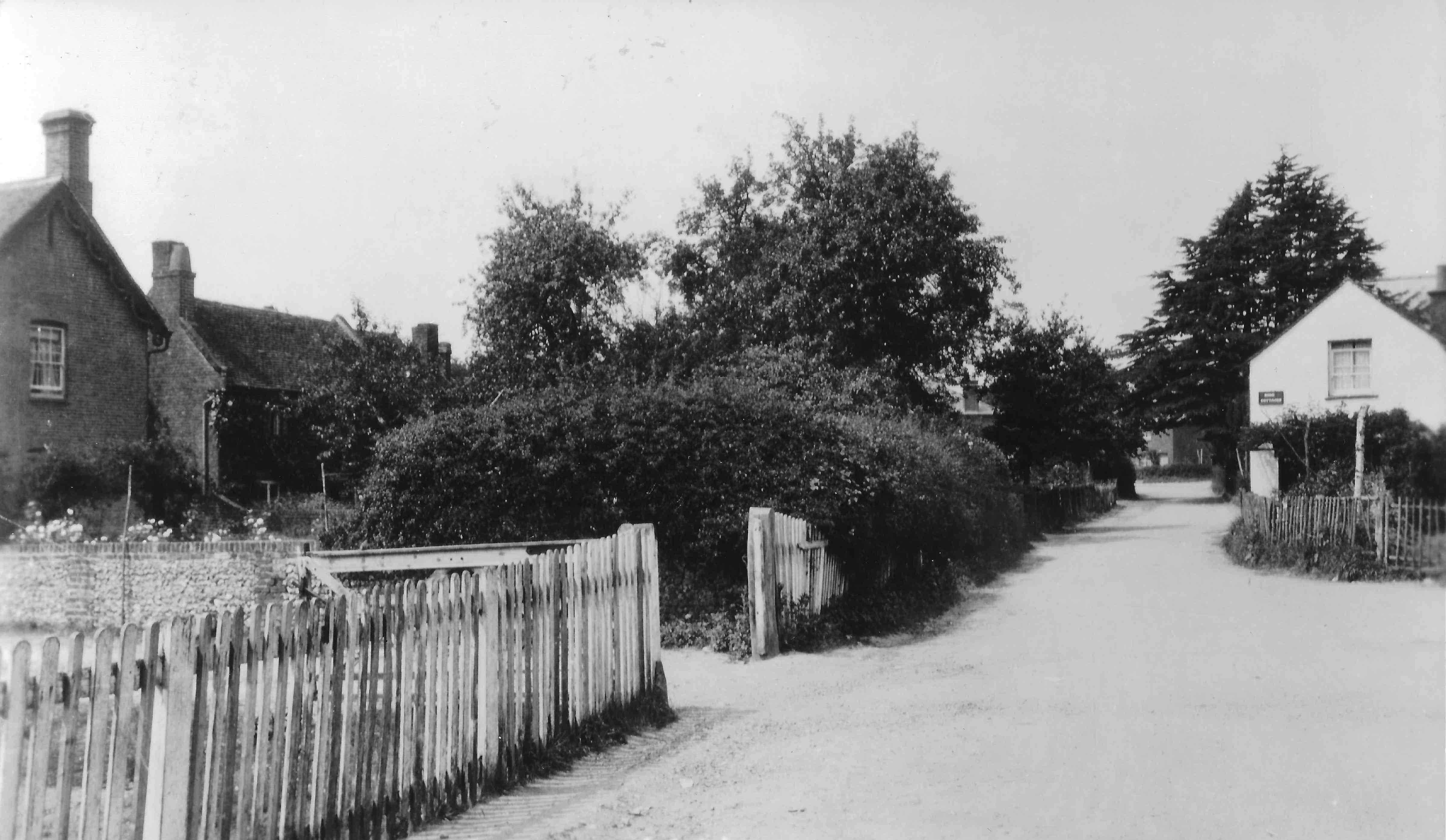 Seer green